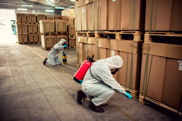 Best Affordable Pest Control Services  in Pinebluff, NC