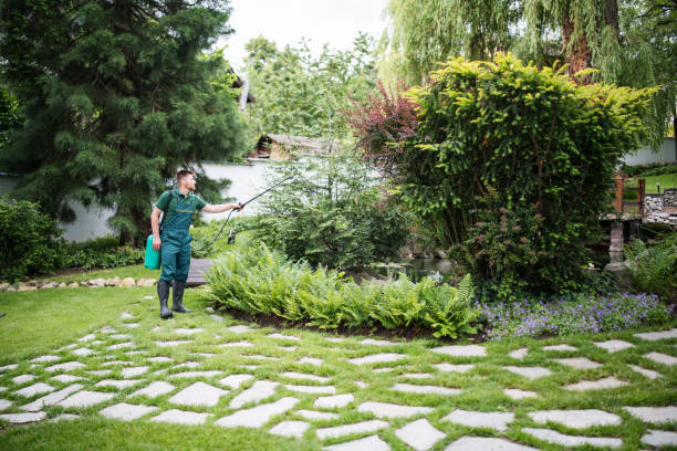 Best Best Pest Control Near Me  in Pinebluff, NC