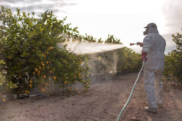 Best Emergency Pest Control  in Pinebluff, NC