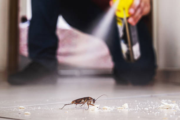 Best Pest Prevention Services  in Pinebluff, NC